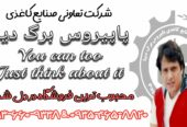 پاپیروس برگ دیبا